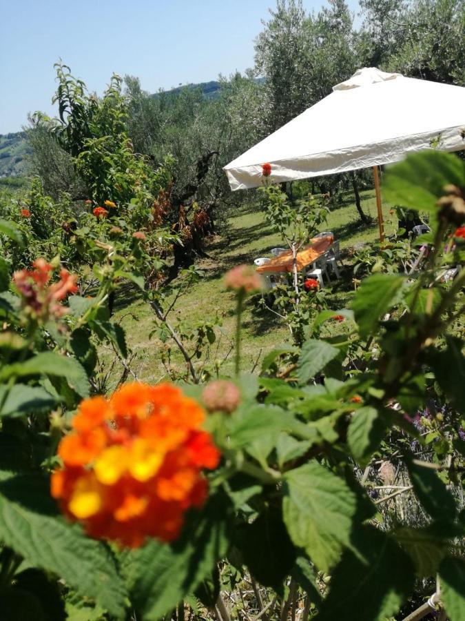 Vacanze In Collina, Tra Mare E Monti Bucchianico Bagian luar foto